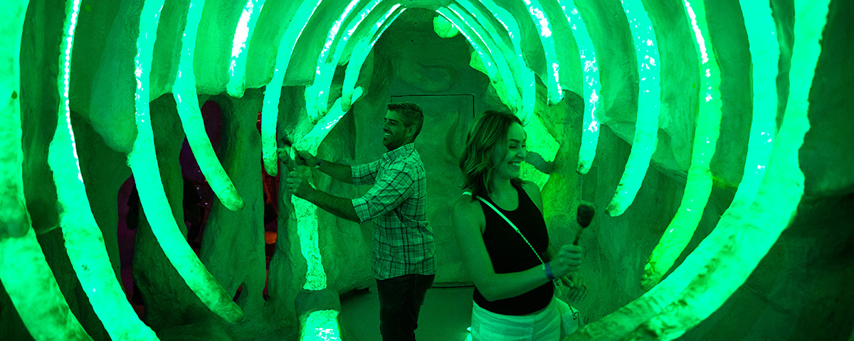 Another Meow Wolf Art Installation in Santa Fe