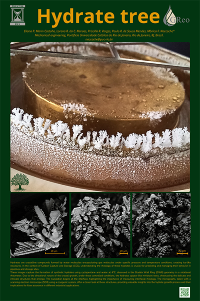 GoR 2024 1st Place Image