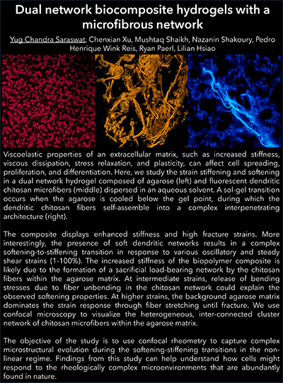 GoR 2024 2nd Place Image